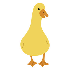 Duck Yellow Single 21 cute on a white background, vector illustration