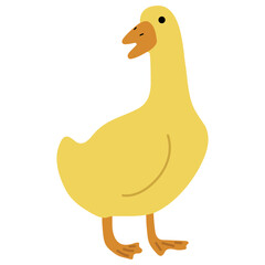 Duck Yellow Single 18 cute on a white background, vector illustration
