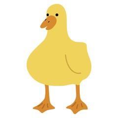 Duck Yellow Single 17 cute on a white background, vector illustration