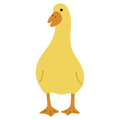Duck Yellow Single 13 cute on a white background, vector illustration