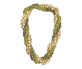 Hawaii  flower lie T-shirt Neckline Hawaii Flower vector illustration pikake