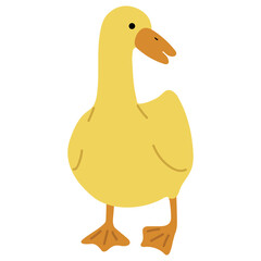 Duck Yellow Single 12 PNG