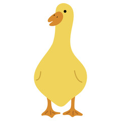 Duck Yellow Single 46 PNG