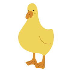 Duck Yellow Single 43 PNG