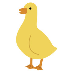 Duck Yellow Single 40 PNG