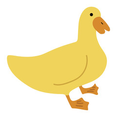 Duck Yellow Single 36 PNG