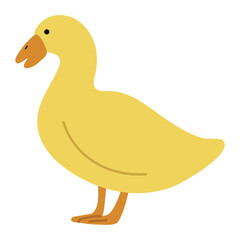Duck Yellow Single 30 PNG