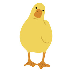 Duck Yellow Single 35 PNG