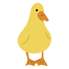 Duck Yellow Single 39 PNG