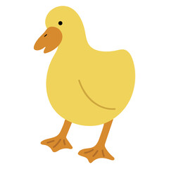 Duck Yellow Single 31 PNG
