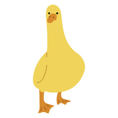 Duck Yellow Single 26 PNG