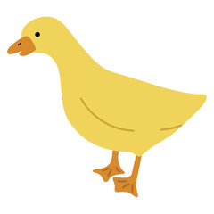 Duck Yellow Single 25 PNG