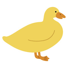 Duck Yellow Single 27 PNG