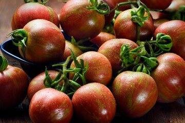 Harvest of green purple tomato