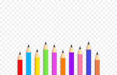 Vector school pencils. School pencils png. A set of colored pencils lined up in a row. School supplies png.
