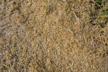 Hitzewolken über Marburg an der Lahn, weiche milde Farben, Getreidestroh  zur Erntezeit