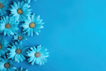Fototapeta na wymiar Skyblue aster flowers flat lay on a blue background with empty space on the right. View from above. Wedding, mother's day, women's day concept. Floral web banner. 