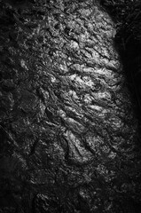 雨上がりの京都大原