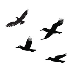 The flock of birds flying on a white background Silhouette illustration.