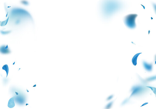 Floral frame with blue flying petals, Overlay. Isolated on transparent background