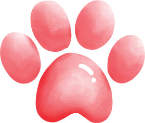 dog paw