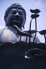 大仏を見上げる