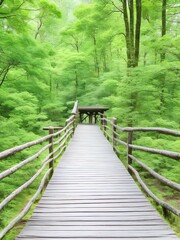 Obraz premium wooden bridge in the forest