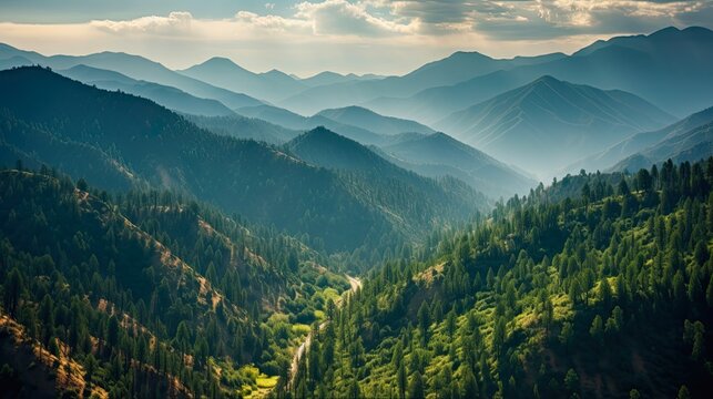 Morning Light Over Angeles National Forest: Aerial Photography of California's Evergreen Wilderness. Generative AI