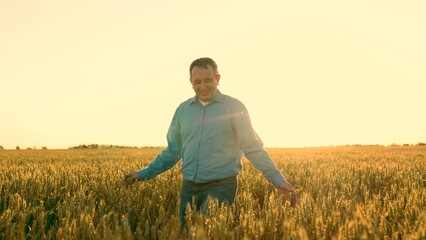 Naklejka na ściany i meble Experience the Golden Harvest with Our Expert Agronomist Our skilled agriculturist walks through the lush green fields, inspecting every ripe ear of wheat with care. As the sun sets,