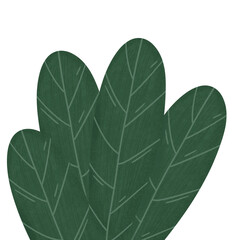 Bushes leaf grass illustration