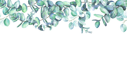 Watercolor illustration seamless border of eucalyptus branches isolated on transparent background. Designed for design, print, fabric or background, cards, invitations.