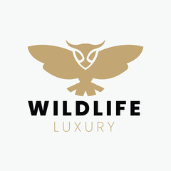 Elegant Flying Owl Bird Logo Concept