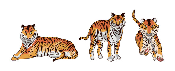 brown tiger  vector illustration consisting of three images
