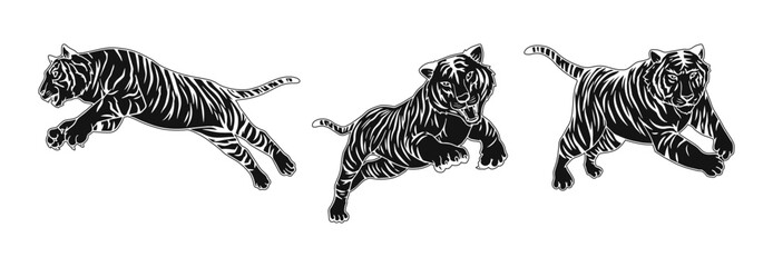 tiger  vector illustration illustration with black block consisting of three images