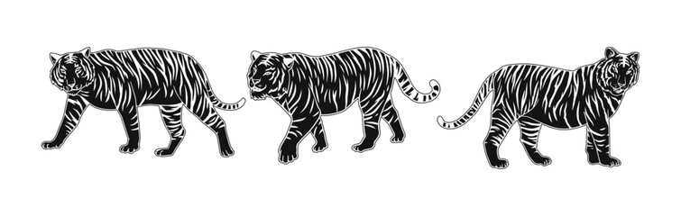 Fototapeta na wymiar tiger vector illustration illustration with black block consisting of three images