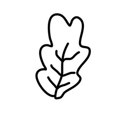 Leaf Doodle Sketch