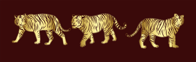 illustration of a tiger's  vector image with gold gradations consisting of three images