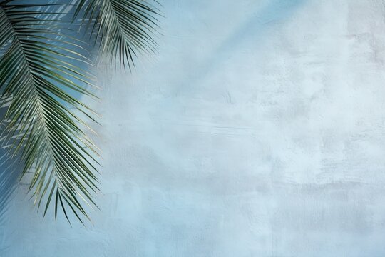 palm shadow background blue color texture pattern