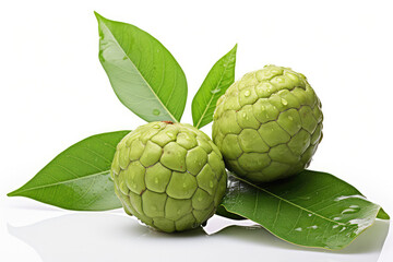 Fototapeta premium Sugar apple or custard apple, two whole ripe exotic tropical fruits with green leaves isolated on white background, healthy food, diet and vegetarian nutrition (ai generated)