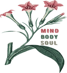 Quote Mind, Body, Soul with beautiful color