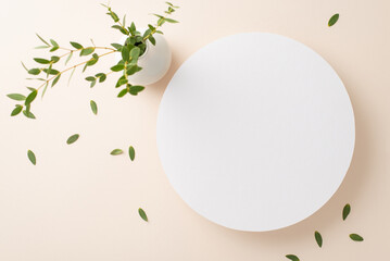 Beauty of fresh eucalyptus concept. High angle view photo of white empty circle surrounded by...