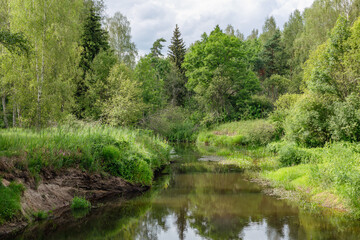Small wild river Seda in summer with lush greens all over in Burtnieki in July in Summer