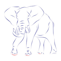 Continuous line drawing of a beautiful elephant. Hand drawn, vector illustration