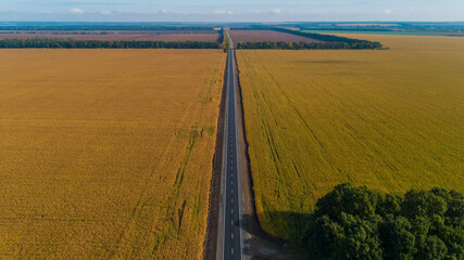 Aerial view beautiful summer nature landscape on a sunny day. Drone shot new road between a field of wheat and corn. Blue sky