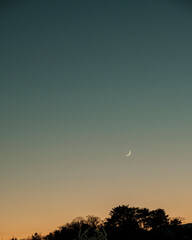moon