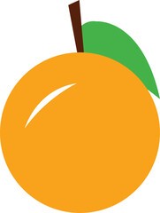 illustration of an orange fruit