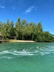 Mauritius © Harry Hirsch