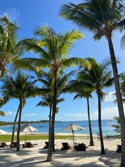 Mauritius © Harry Hirsch