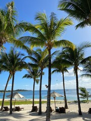 Mauritius © Harry Hirsch