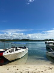 Mauritius © Harry Hirsch